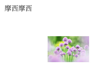 ![图片说明
